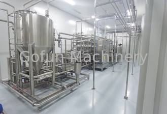 Concentrated Pineapple Juice Production Line 15T/Day SS304 Automatic