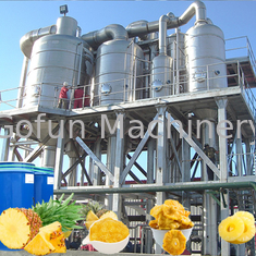 PLC Controlled Aseptic Bag Pineapple Processing Line 20T/H 440V