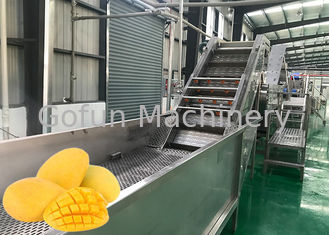 Food Grade Fruit Chips Making Machine 1500 T / Day Low Power Consumption