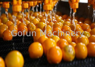 Industrial Citrus Processing Line Orange Lemon Processing Unit 1 Year Warranty