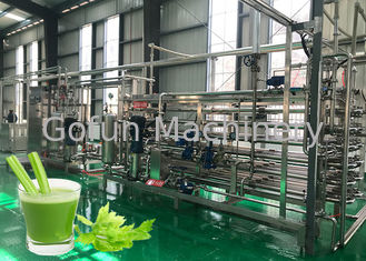 Safety Vegetable Processing Line Stable Performance Celery Processing Equipment