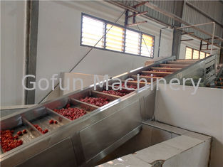 Industrial 250T/D 440V Tomato Puree Processing Plant