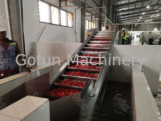 Energy Saving Tomato Paste Production Line For Washing Drying 100T/D