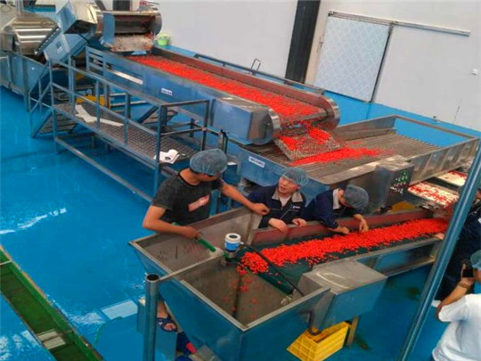 Latest company case about 3T/H berry fruit pulp natural juice processing line