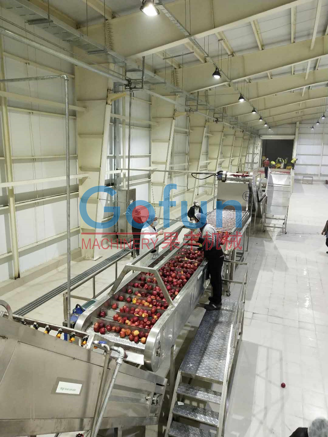 Latest company case about Apple and grape concentrated juice, dried apple, tomato sauce and fruit juice beverage line