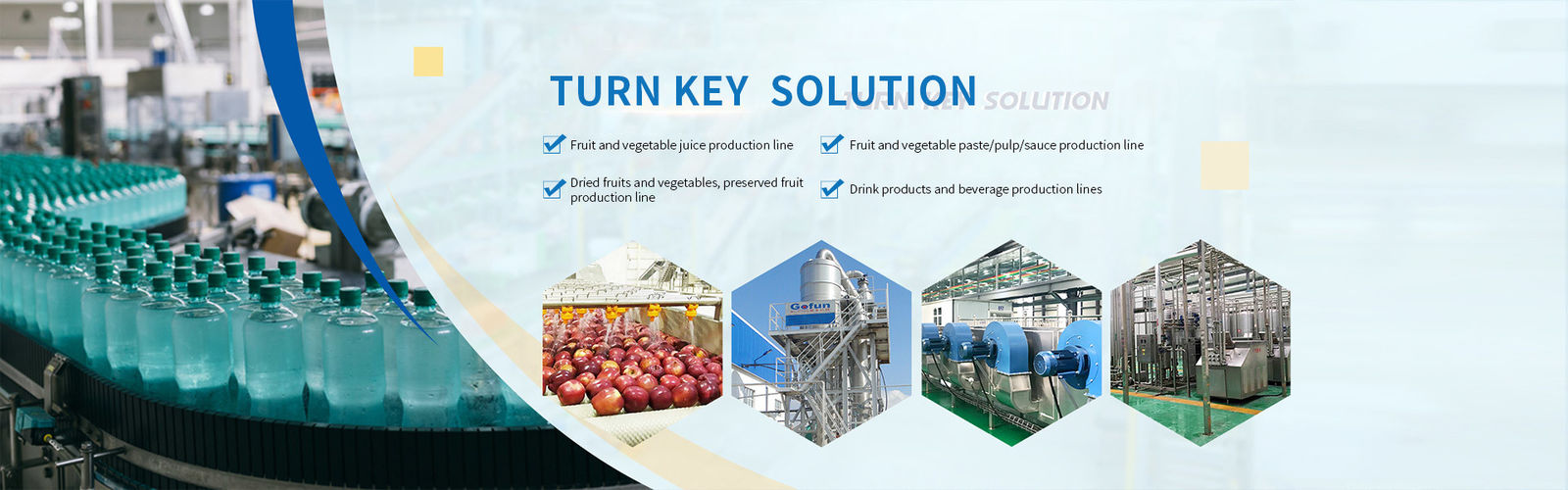 quality Fruit Processing Line factory
