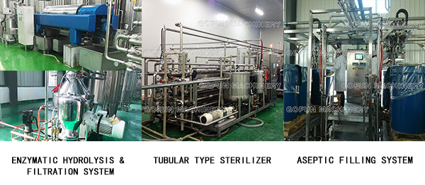 Industrial NFC Apple Processing Line HPP Fruit Juice Processing Equipment