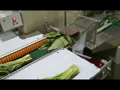 fresh fruit & vegetable packing machine