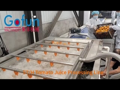 5h/t full set machinery to making tomato juice tomato processing line