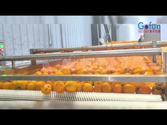 Industrial NFC juice processing production line, a complete set of cleaning, juicing, sterilizing an