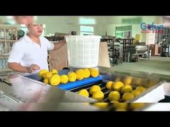 Roller sorting machine