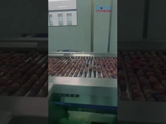 Industry Peach Juice Production Line Automatic Peach Processing Line Custom Machine