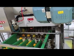 Fully automatic industrial orange juice processing production line