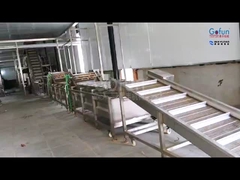 Tropical fruit processing equipment: pulp + juice + dried fruit three-in-one