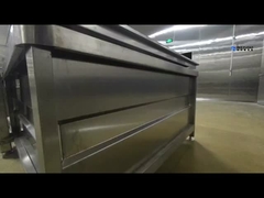 Automatic fruit and vegetable cleaning machine Complete set of cleaning lines for fruit and vegetabl