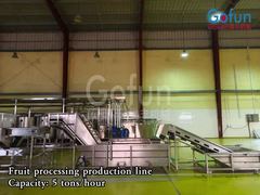 Watch: Industrial Food Processing Machine For Celery 1 - 20T/H Capacity Good Performance Showcase