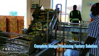 Complete Mango Processing Line Turnkey Factory Solution