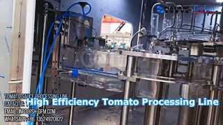 Industrial Tomato Paste Processing Line Turnkey Solution