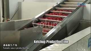 Ketchup Production Line 