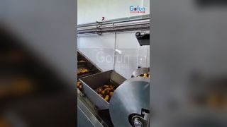 Mango Juice Line Automatic High Efficiency