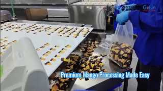 Premium Mango Processing Line Soft Chewy Dried Mango Solution