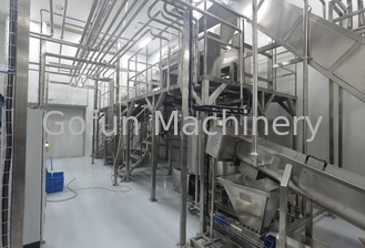 Concentrated Pineapple Juice Production Line 15T/Day SS304 Automatic