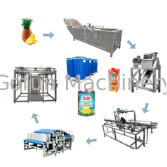 Sterilizing SS316 1500T/Day Pineapple Processing Line