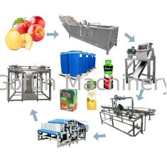 SUS 304 Apple Juice Concentrate Fruit Processing Line 1500T/Day