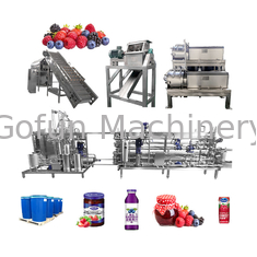 Dried Fruit SUS 304 Berry Processing Equipment 10-100T/D