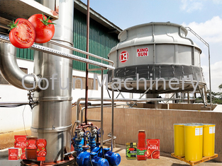 One Stop Solution Tomato Processing Line Field Installation CE Certification