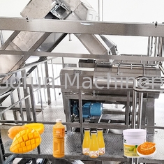 SUS304 / 316L Paste Mango Processing Line 3T/H Jam Processing Machine Turnkey Service