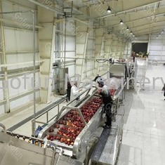 Food Grade Sus304 / 316L Apple Juice Processing Line 10 - 100T/D