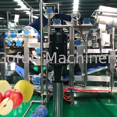 High Efficiency Apple Juice Processing Line Machine SUS316 30T/H 7.5kw
