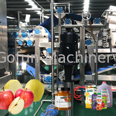 High Efficiency Apple Juice Processing Line Machine SUS316 30T / H 7.5kw