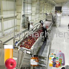 Food Standard SUS 304 Apple Processing Line Cold Press Fruit Juice Processing Line