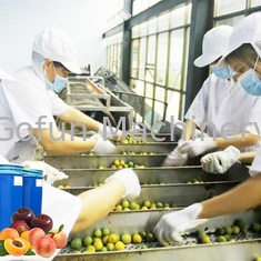 Food Grade Equipment Used In Fruit Juice Processing Juice Concentration