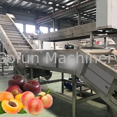 Multiple Use Safety Peach Processing Plant High Extracting Rate 1000 T/Day