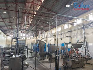 One Stop Solution Tomato Processing Line Field Installation CE Certification