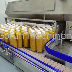 SUS304 / SS316 Mango Pulp Production Line 5 T/H Flexible Operation Support