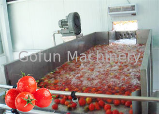 Stainless Steel 380V Vegetable Processing Line Tomato Processing Equipment