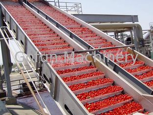 PLC Control Food Processing Machine Tomato Processing Line Water Cycling