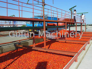 Commercial 380V Tomato Processing Line / Tomato Puree Processing Plant