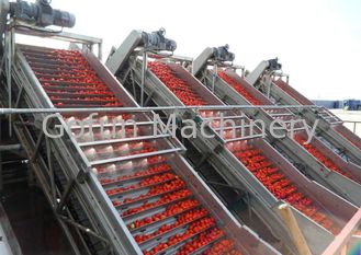 High effective tomato juice processing line SUS 304  turnkey solution