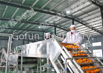 HPP Citrus Processing Line / 440V Lemon Processing Plant Easy Operation