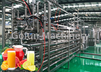 Professional Tangerine Citrus Processing Equipment 5T/H  ISO Certificate