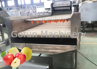 500T/D SS304 Industrial Apple Juice Processing Line Aseptic Bags Packaging