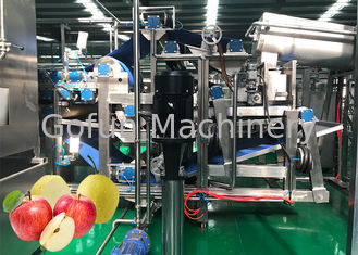 ISO9001 50 T/D Automatic Apple Production Line 304 Stainless Steel