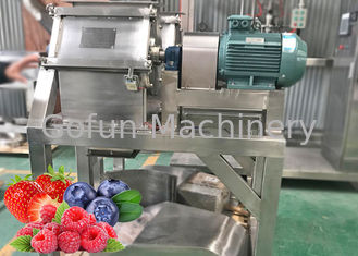 High Output Berry Processing Equipment 20 T / Day To 1500 T / Day Turnkey Solution