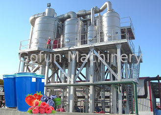 380V Berry Fruit Jam Processing Machinery 20T/H ISO9001 Certificate
