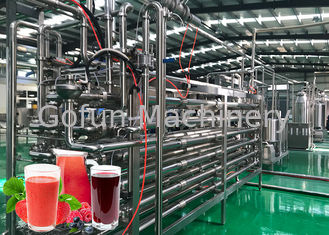 Highly Automation Fruit Processing Line Beverage Production Line 20T / Day Capacity